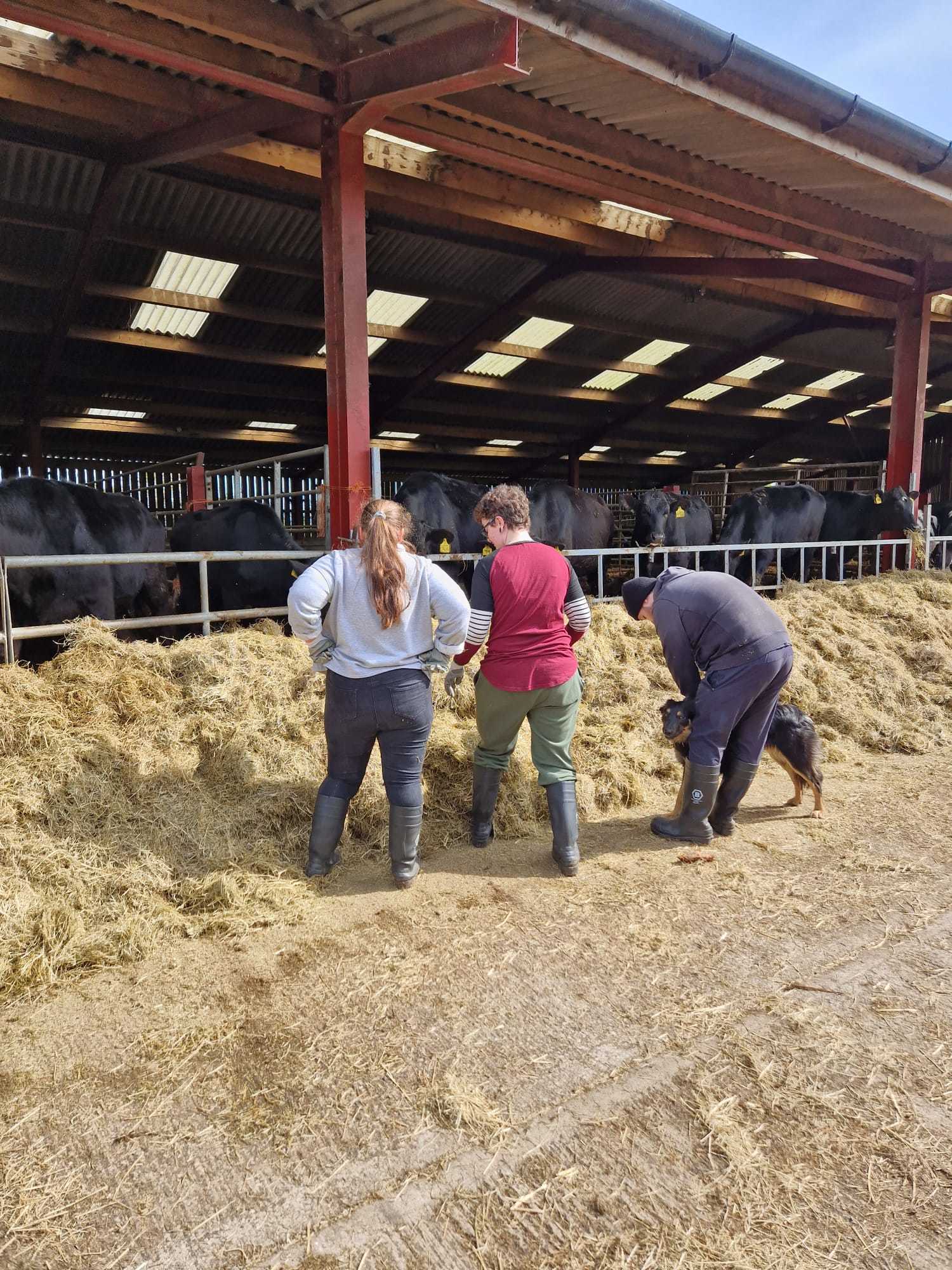 Getting to grips with farm life at Agri-cation CIC.